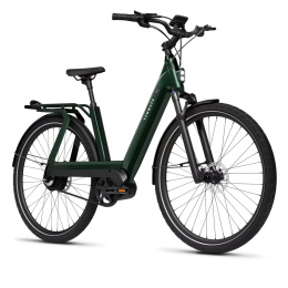Rower elektryczny Tenways AGO T Zielony - pasek Gates carbon, Enviolo, całoroczny