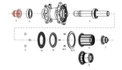 11.2018.033.001 - ZIPP END CAP NDS REAR COGNITION NSW QR