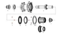 11.2018.035.001 - ZIPP MAGNET SET FOR CLUTCH REAR COGNITION NSW