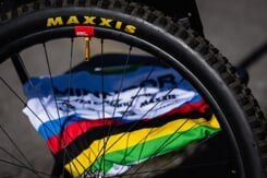 PEATY'S X CHRIS KING WENTYLE (MK2) GOLD TUBELESS - 42MM (PTV2-42-GLD-12)