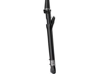 RockShox Rudy Ultimate Race Day 2 30mm, schwarz 45mm Offset, 12x100