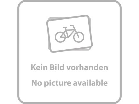 WHEEL AXLE REAR ZIPP 176D DISC BRAKE (AXLE ONLY)