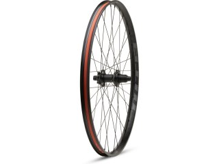 WTB Wheel Proterra Light i25 x 700 Rear Wheel, 142 x 12 mm, 28 hole, 6-Bolt, DB, Shimano HG 11s