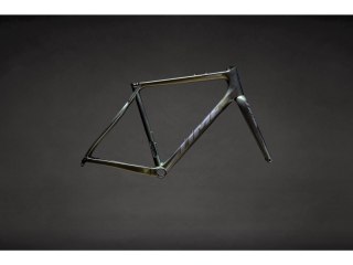 FRAMESET ALPE D'HUEZ X Carbon Shift Green L