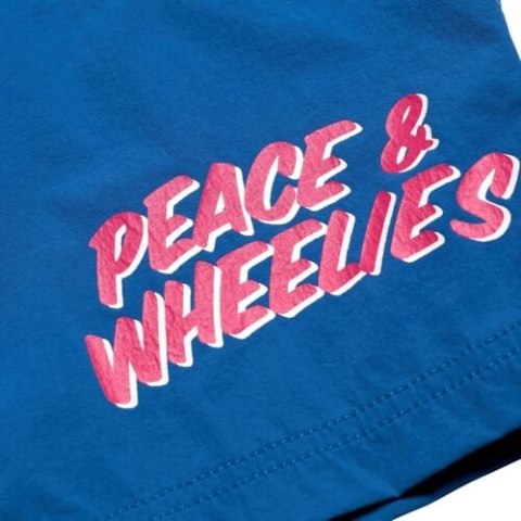 TLD SPODENKI Z WKŁADKĄ SKYLINE TRAIL SHORT WASHED OUT DARK CLOUD (28614400)