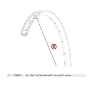 MAVIC KIT 14 REAR DRIVE SIDE E-DEEMAX 29" FLAT SPOKE 303 + NIPPLE (V2389701)