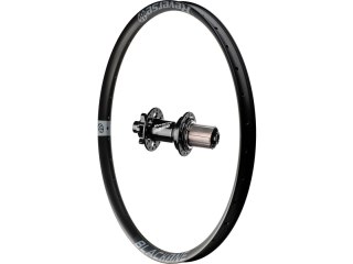 Black One rear wheel, Base hub, Shi Grey 26", 135x12+10 mm