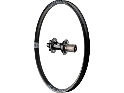 Black One rear wheel, Base hub, Shi Grey 26", 135x12+10 mm