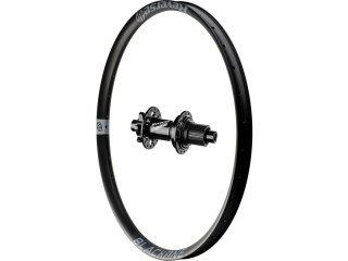 Black One rear wheel, Base hub, Shi Grey 26", 135x12+10 mm