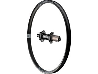 Black One rear wheel, Base hub, Shi Grey 26", 142x12 mm