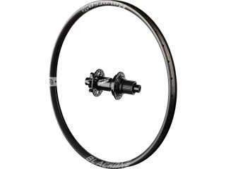 Black One rear wheel, Base hub, Shi Grey 27.5", 135x12 mm