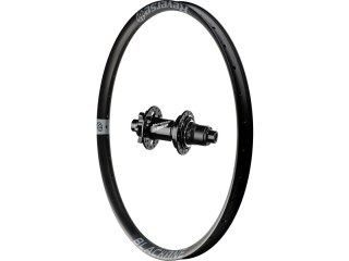 Black One rear wheel, Base hub, Sra Grey 26", 135x12+10 mm