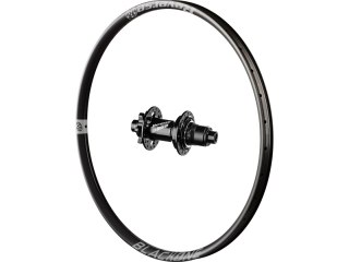 Black One rear wheel, Base hub, Sra Grey 29", 135x12+10 mm