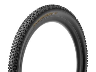 Pirelli Tire Scorpion Race XC M 29 x 2.4, ProWALL 120TPI TLR, Race XC Compound, gold