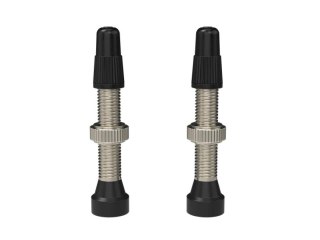 WTB Ventil Presta 34mm, Nickel, silber 2 Stück