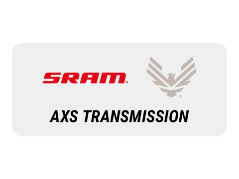 SRAM AXS XX DH Eagle Transmission Gruppe