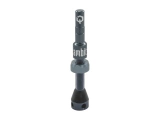 Ambit Valve Stem Realm ambit blue-grey