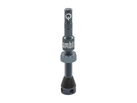 Ambit Valve Stem Realm ambit blue-grey