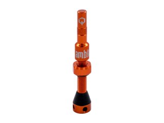 Ambit Valve Stem Realm oragne