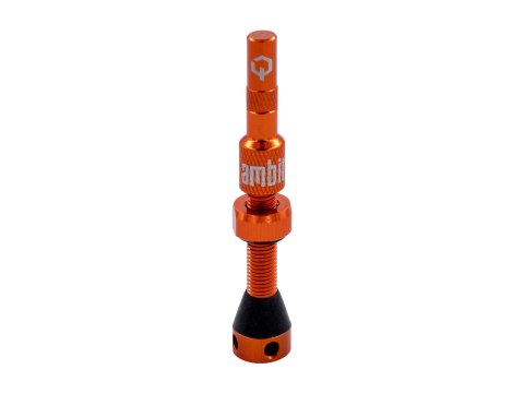 Ambit Valve Stem Realm oragne
