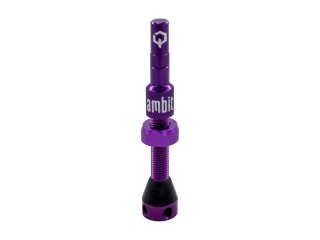 Ambit Valve Stem Realm purple