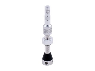 Ambit Valve Stem Realm silver