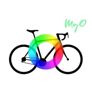 Orbea rower MTB RALLON E-LTD M MYO