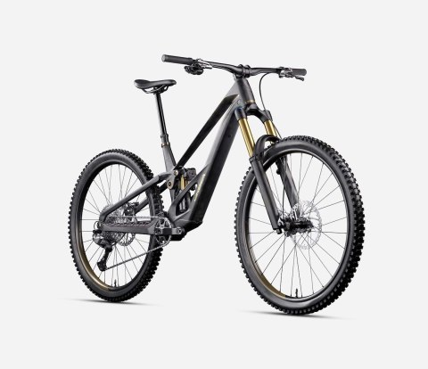 ORBEA ROWER MTB RALLON RS-LTD MULLET L Carbon - Gold