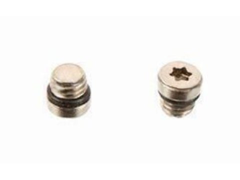 DISC BRAKE LEVER RESERVOIR BLEED SCREW/O-RING - STAINLESS (QTY 20)