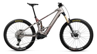 Orbea rower elektryczny WILD TR M-TEAM S Rose - Carbon