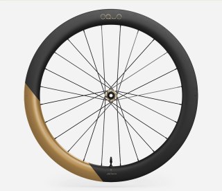 OQUO KOŁA RA57LTD FRONT Metallic Golden Sand