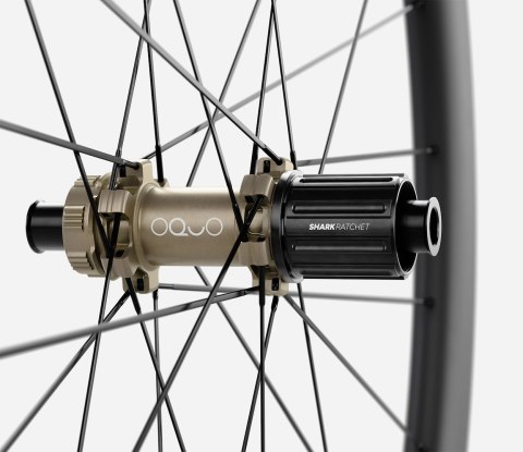 OQUO KOŁA RP35LTD SHIMANO HG REAR Metallic Golden Sand