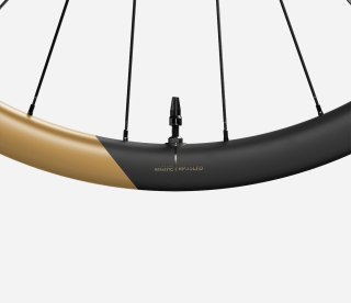 OQUO KOŁA RP35LTD SRAM XDR REAR Metallic Golden Sand