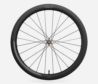 OQUO KOŁA RP50LTD FRONT Black