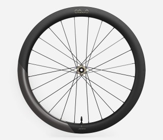 OQUO KOŁA RP50LTD FRONT Glitter Anthracite
