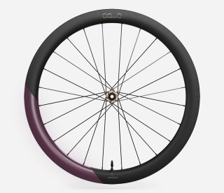 OQUO KOŁA RP50LTD FRONT Metallic Mulberry