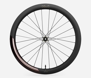 OQUO KOŁA RP50LTD SHIMANO HG REAR Burning Ashes
