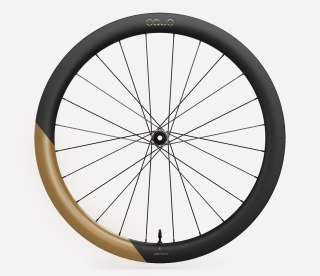 OQUO KOŁA RP50LTD SHIMANO MS REAR Metallic Golden Sand