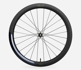 OQUO KOŁA RP50LTD SHIMANO MS REAR Noctiluca