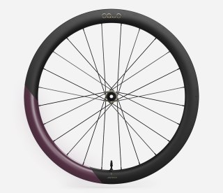 OQUO KOŁA RP50LTD SRAM XDR REAR Metallic Mulberry