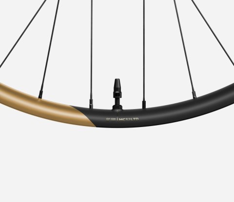 OQUO KOŁA MC32LTD SHIMANO MS SET Metallic Golden Sand