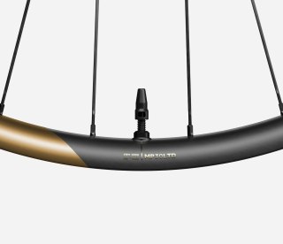 OQUO KOŁA MP30LTD SRAM XD REAR Metallic Golden Sand