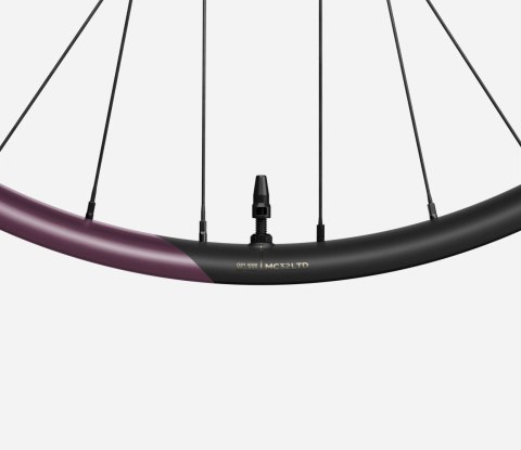 OQUO KOŁA MC32LTD SRAM XD REAR Metallic Mulberry
