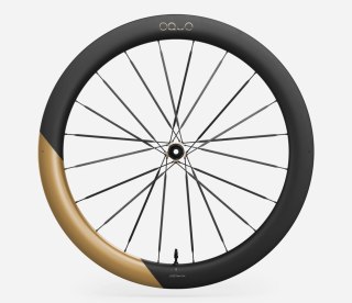 OQUO KOŁA RA57LTD CS XDR REAR Metallic Golden Sand