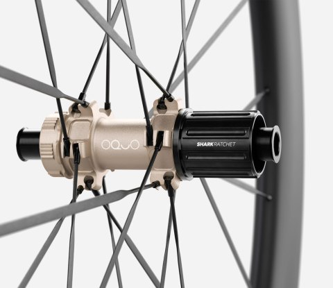 OQUO KOŁA RA57LTD CS SHIMANO HG REAR Noctiluca