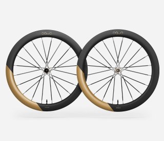 OQUO KOŁA RA57LTD CS SHIMANO HG SET Metallic Golden Sand