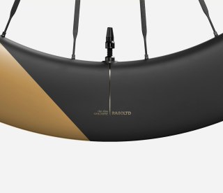 OQUO KOŁA RA80LTD CS SHIMANO HG REAR Metallic Golden Sand