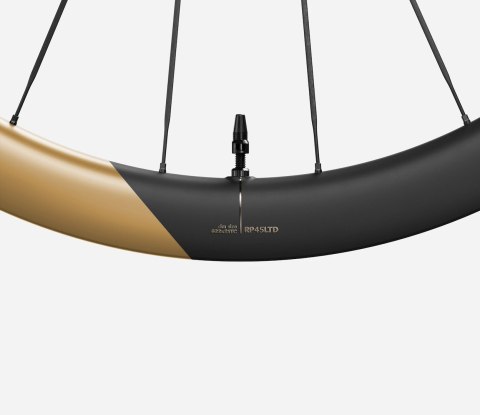 OQUO KOŁA RP45LTD CS XDR REAR Metallic Golden Sand