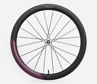 OQUO KOŁA RP50LTD CS FRONT Metallic Mulberry