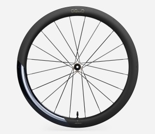 OQUO KOŁA RP50LTD CS SHIMANO MS REAR Noctiluca